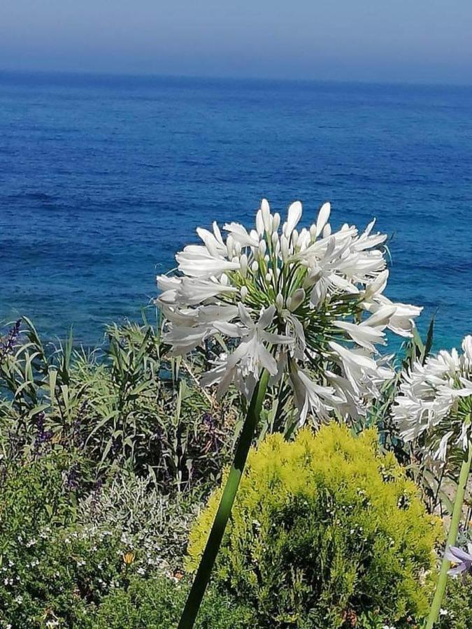 Ikaria Village Maisonette 10 Klorakas Exteriér fotografie