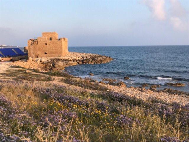 Ikaria Village Maisonette 10 Klorakas Exteriér fotografie